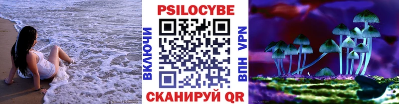 Купить закладки  Сокол  Псилоцибиновые грибы GOLDEN TEACHER 